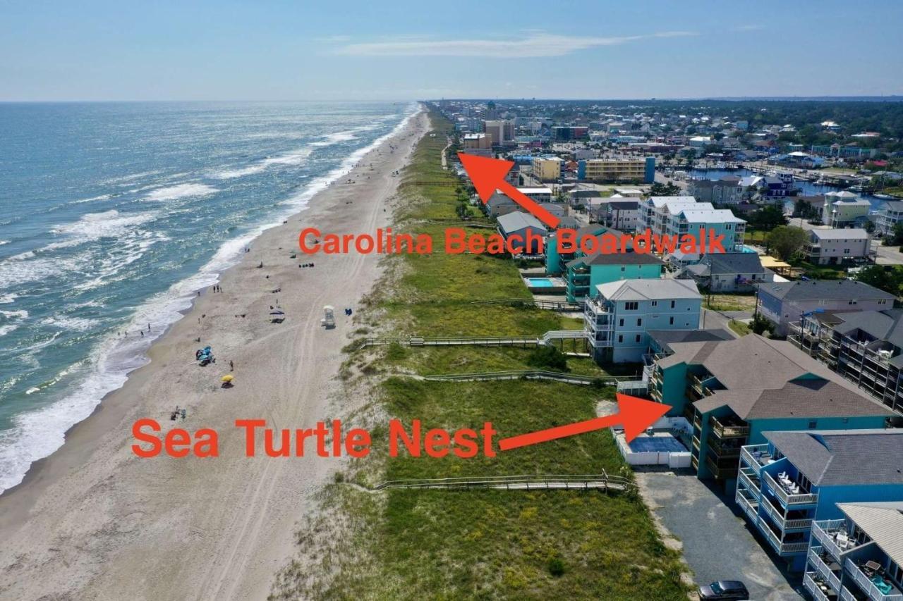 Sea Turtle'S Nest Villa Carolina Beach Ngoại thất bức ảnh
